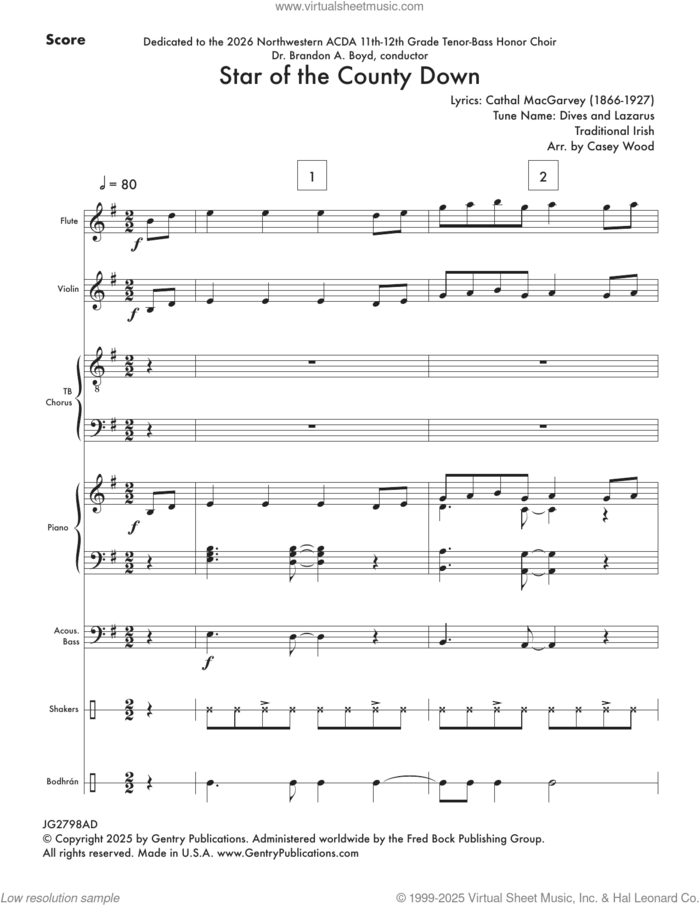 Star of the County Down (COMPLETE) sheet music for orchestra/band by Casey Wood, intermediate skill level