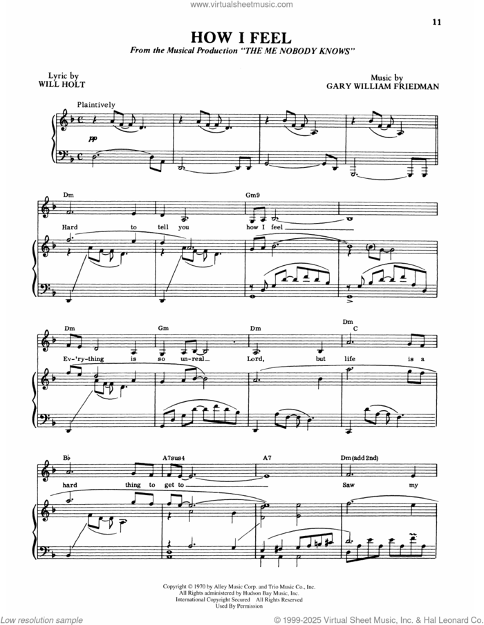 How I Feel (from The Me Nobody Knows) sheet music for voice and piano by Will Holt and Gary William Friedman, intermediate skill level