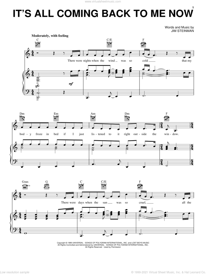 It's All Coming Back To Me Now sheet music for voice, piano or guitar by Celine Dion and Jim Steinman, intermediate skill level