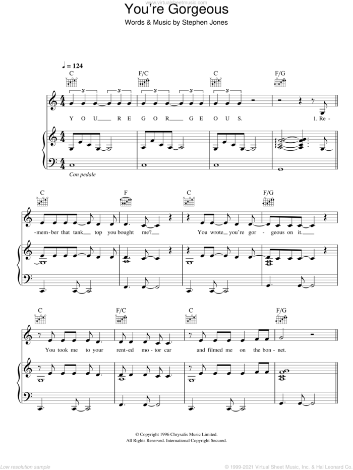 You're Gorgeous sheet music for voice, piano or guitar by Babybird and Steve Jones, intermediate skill level