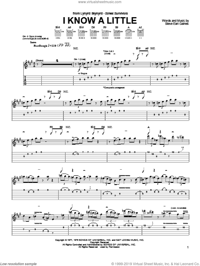 I Know A Little sheet music for guitar solo (chords) by Lynyrd Skynyrd and Steve Gaines, easy guitar (chords)