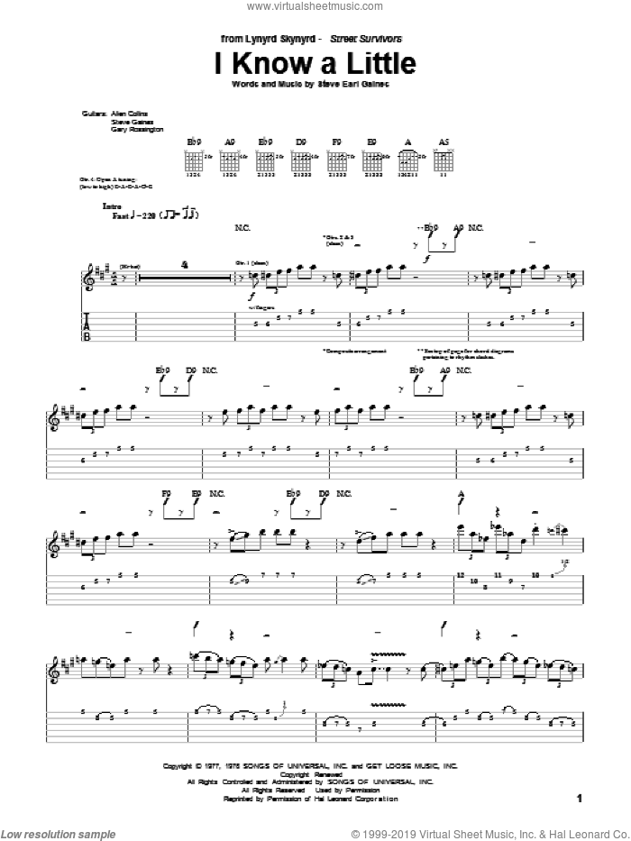 I Know A Little sheet music for guitar (tablature) by Lynyrd Skynyrd and Steve Gaines, intermediate skill level