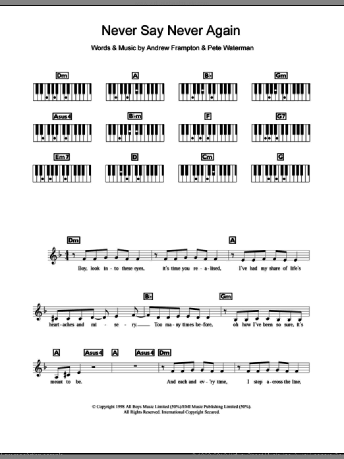 Never Say Never Again sheet music for piano solo (chords, lyrics, melody) by Steps, Andrew Frampton and Pete Waterman, intermediate piano (chords, lyrics, melody)