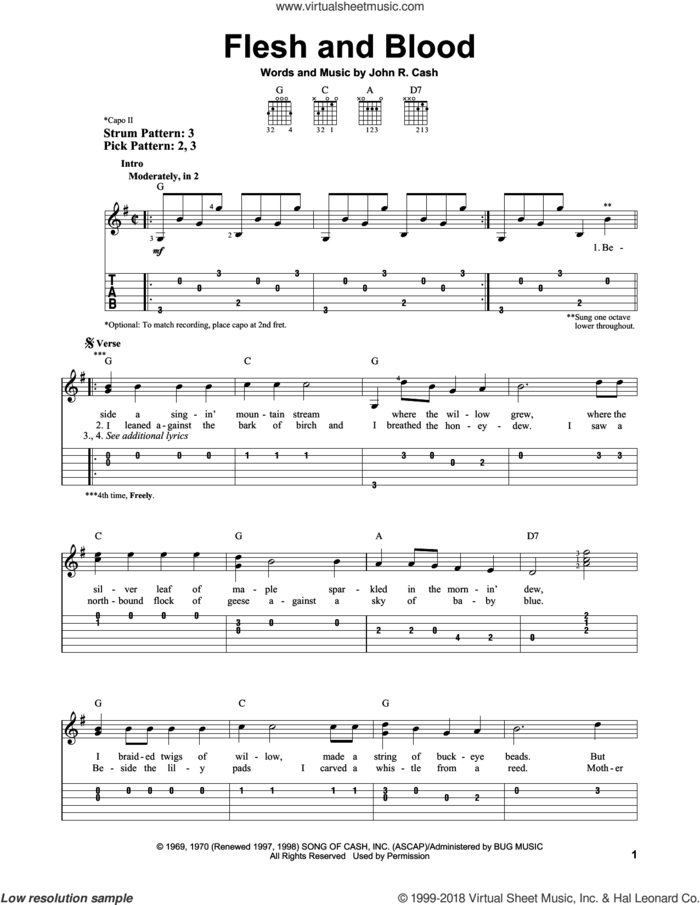 Flesh And Blood sheet music for guitar solo (easy tablature) by Johnny Cash, easy guitar (easy tablature)