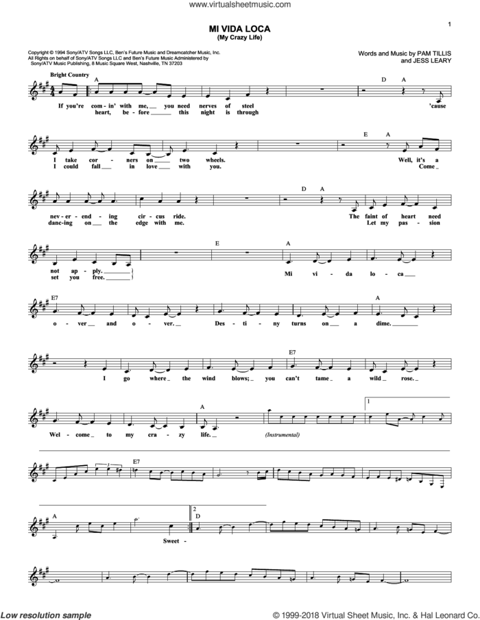 Mi Vida Loca (My Crazy Life) sheet music for voice and other instruments (fake book) by Pam Tillis and Jess Leary, intermediate skill level