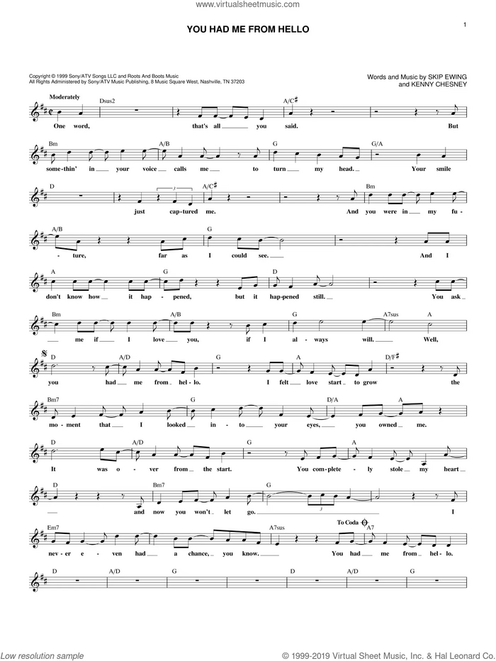 You Had Me From Hello sheet music for voice and other instruments (fake book) by Kenny Chesney and Skip Ewing, intermediate skill level