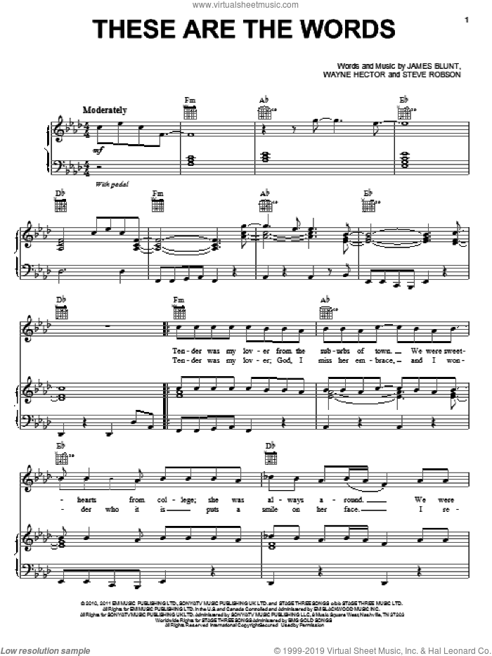 These Are The Words sheet music for voice, piano or guitar by James Blunt, Steve Robson and Wayne Hector, intermediate skill level