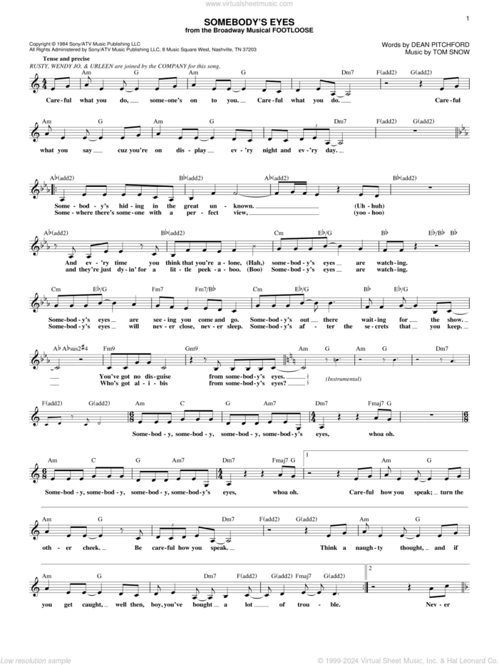 Somebody's Eyes sheet music for voice and other instruments (fake book) by Dean Pitchford and Tom Snow, intermediate skill level