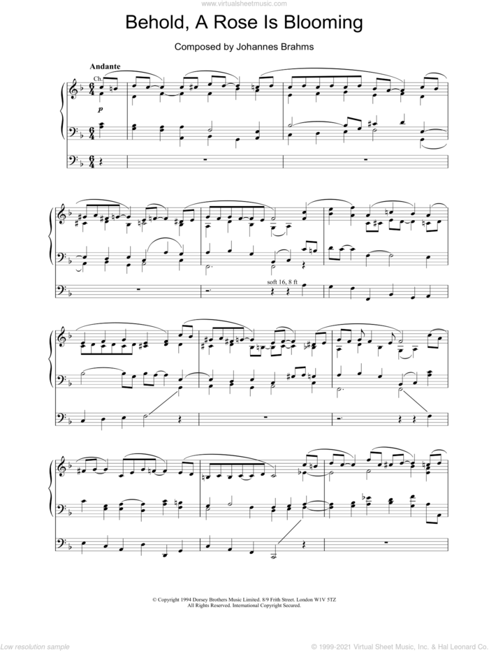 Behold, A Rose Is Blooming sheet music for organ by Johannes Brahms, classical score, intermediate skill level