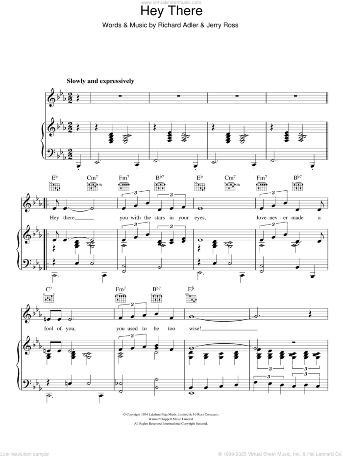 Hey There sheet music for voice, piano or guitar by Richard Adler and Jerry Ross, intermediate skill level