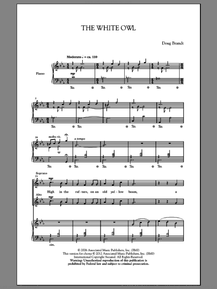 The White Owl sheet music for choir (SATB: soprano, alto, tenor, bass) by Craig Hella Johnson and Doug Brandt, intermediate skill level