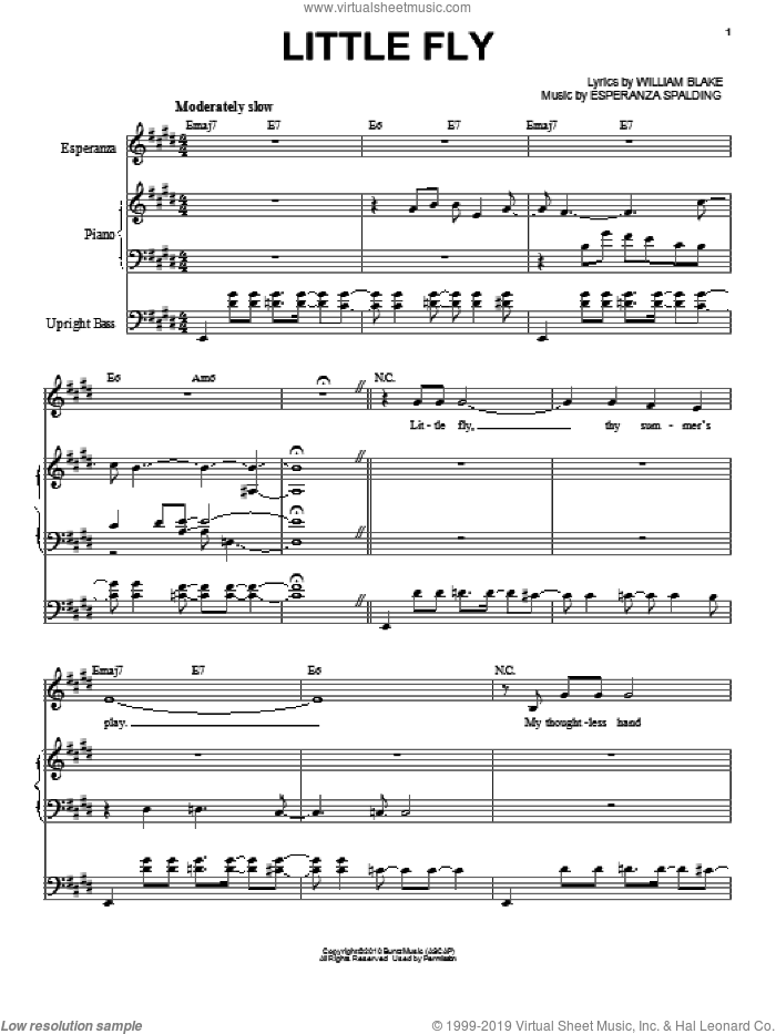 Little Fly sheet music for voice and piano by Esperanza Spalding and William Blake, intermediate skill level