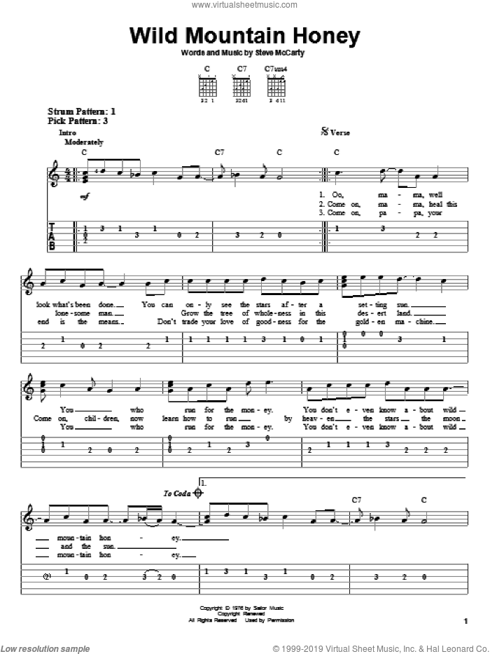 Wild Mountain Honey sheet music for guitar solo (easy tablature) by Steve Miller Band and Steve McCarty, easy guitar (easy tablature)
