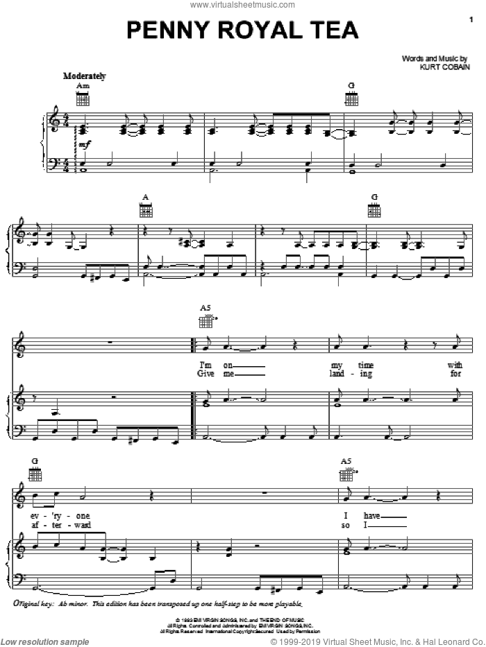 Pennyroyal Tea sheet music for voice, piano or guitar by Nirvana and Kurt Cobain, intermediate skill level