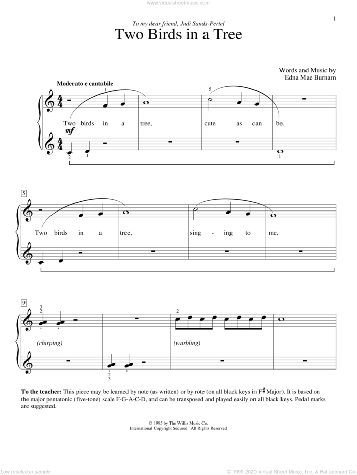 Two Birds In A Tree sheet music for piano solo (elementary) by Edna Mae Burnam, beginner piano (elementary)