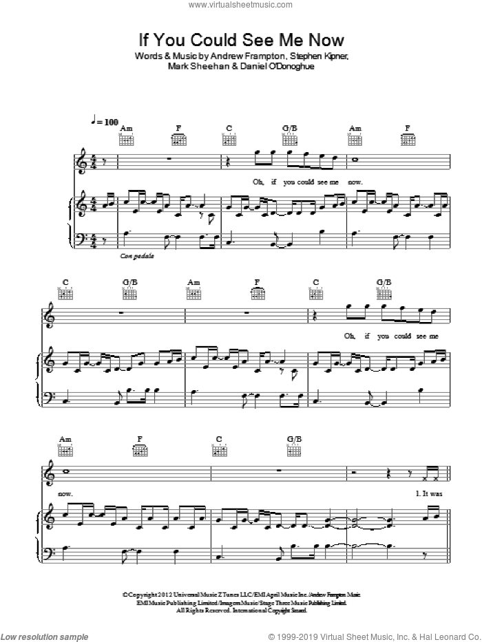 If You Could See Me Now sheet music for voice, piano or guitar by The Script, Andrew Frampton, Mark Sheehan and Steve Kipner, intermediate skill level