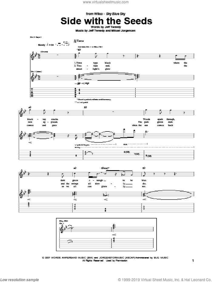 Side With The Seeds sheet music for guitar (tablature) by Wilco, intermediate skill level