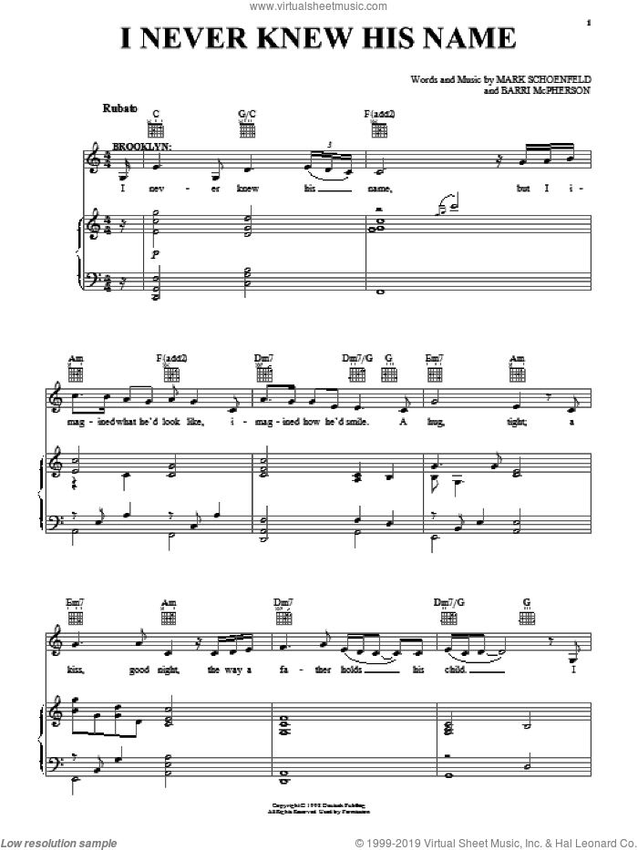I Never Knew His Name sheet music for voice, piano or guitar by Brooklyn The Musical, Barri McPherson and Mark Schoenfeld, intermediate skill level