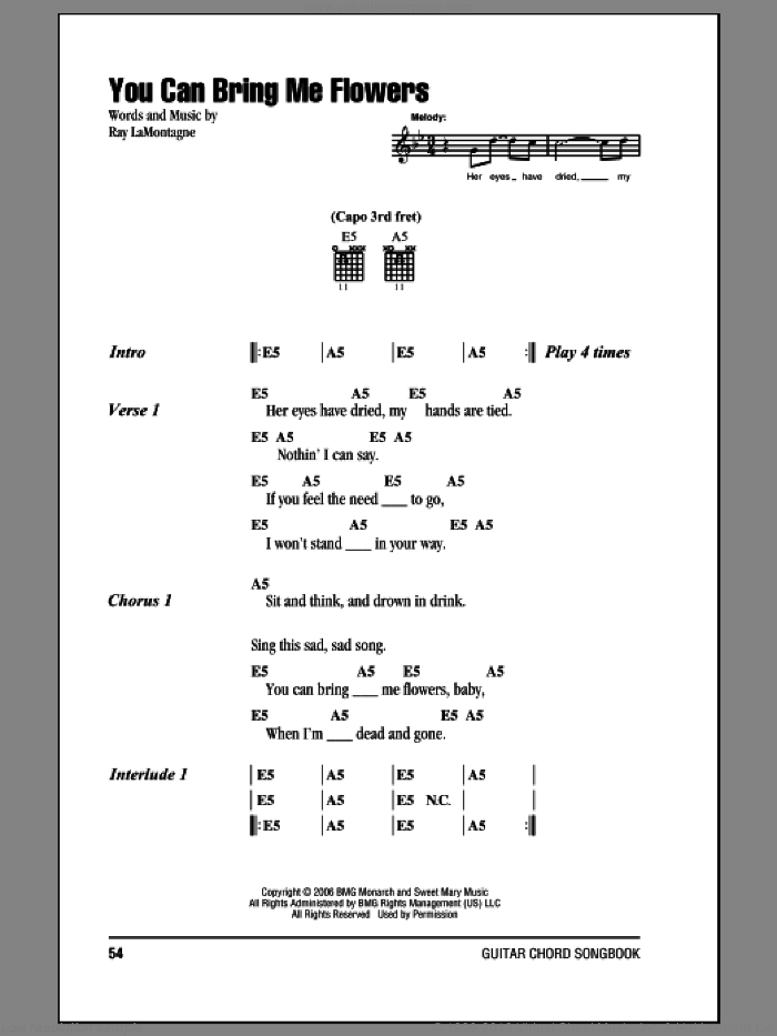 You Can Bring Me Flowers sheet music for guitar (chords) by Ray LaMontagne, intermediate skill level