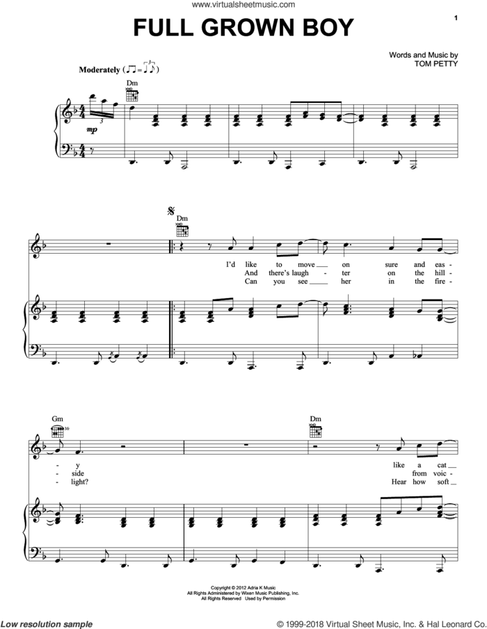 Full Grown Boy sheet music for voice, piano or guitar by Tom Petty and Tom Petty And The Heartbreakers, intermediate skill level