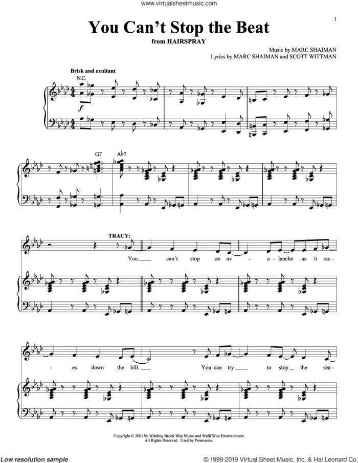 You Can't Stop The Beat sheet music for voice and piano by Marc Shaiman and Scott Wittman, intermediate skill level