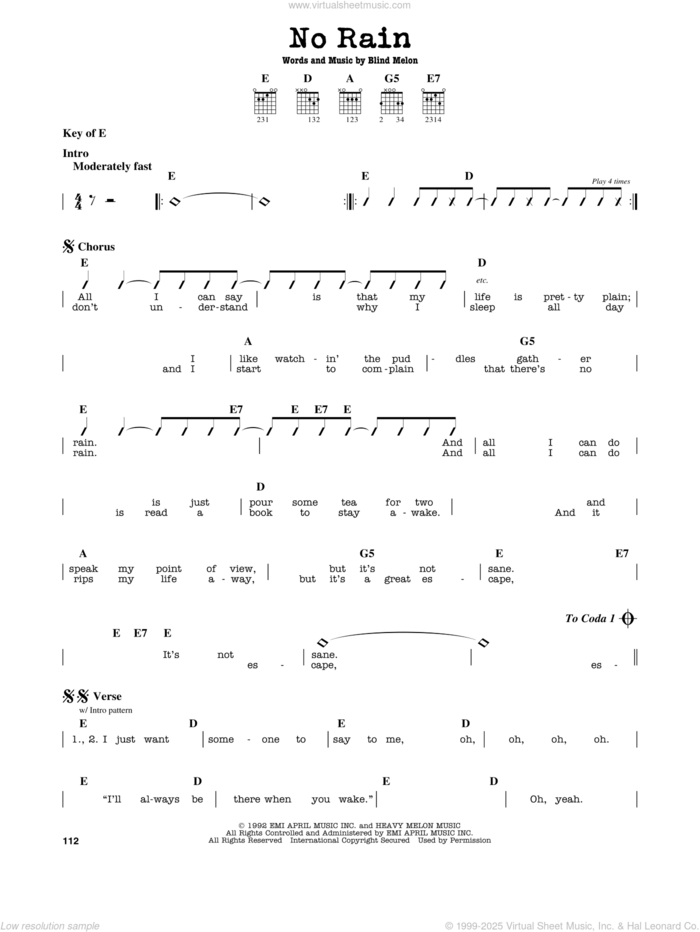No Rain sheet music for guitar solo (lead sheet) by Blind Melon, intermediate guitar (lead sheet)
