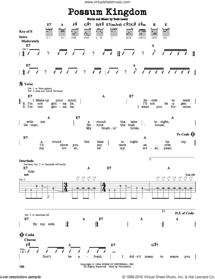 Possum Kingdom sheet music for guitar solo (lead sheet) by The Toadies and Todd Lewis, intermediate guitar (lead sheet)