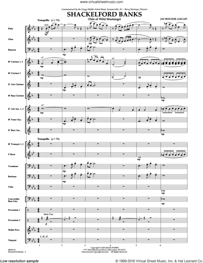 Shackelford Banks (COMPLETE) sheet music for concert band by Jay Bocook, intermediate skill level
