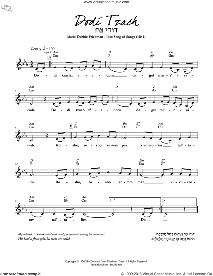 Dodi Tzach sheet music for voice and other instruments (fake book) by Debbie Friedman, intermediate skill level