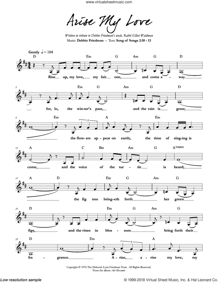 Arise My Love sheet music for voice and other instruments (fake book) by Debbie Friedman, intermediate skill level