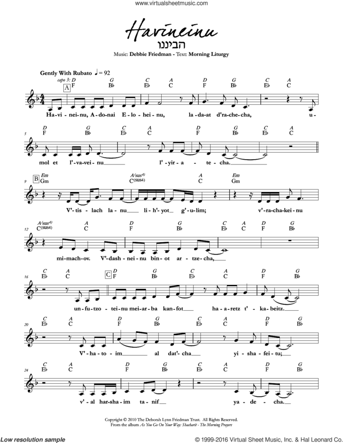 Havineinu sheet music for voice and other instruments (fake book) by Debbie Friedman, intermediate skill level