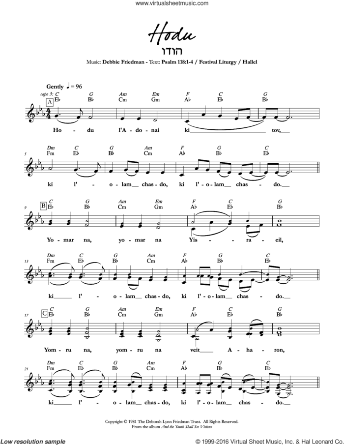 Hodu sheet music for voice and other instruments (fake book) by Debbie Friedman, intermediate skill level