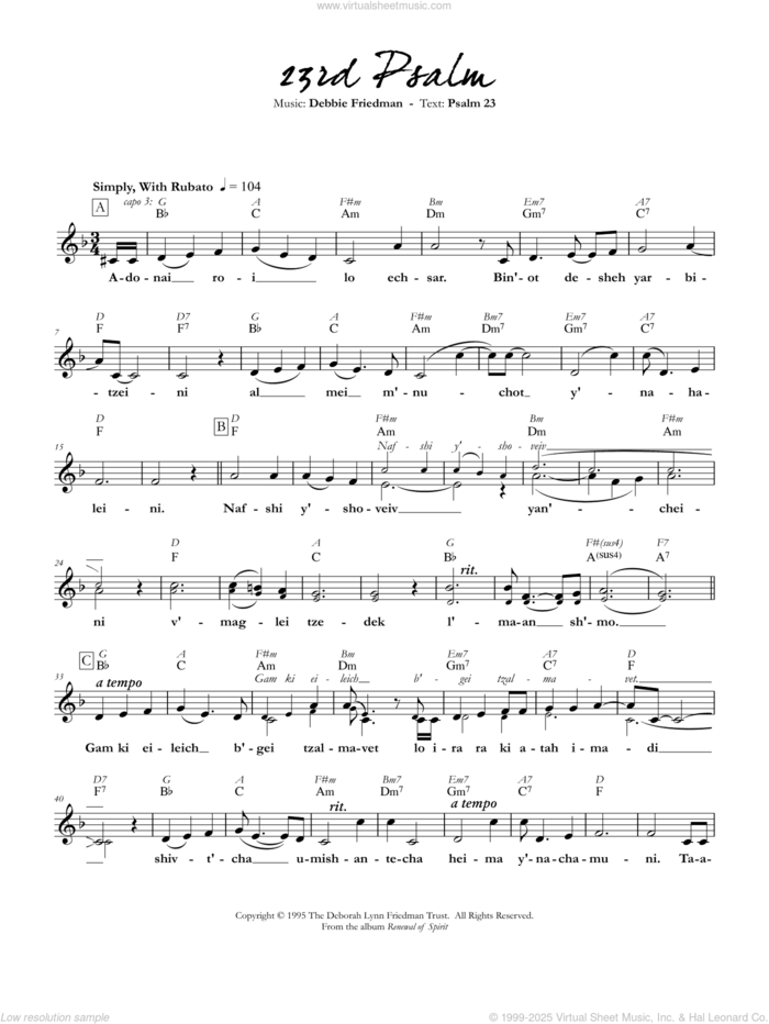 23rd Psalm sheet music for voice and other instruments (fake book) by Debbie Friedman, intermediate skill level