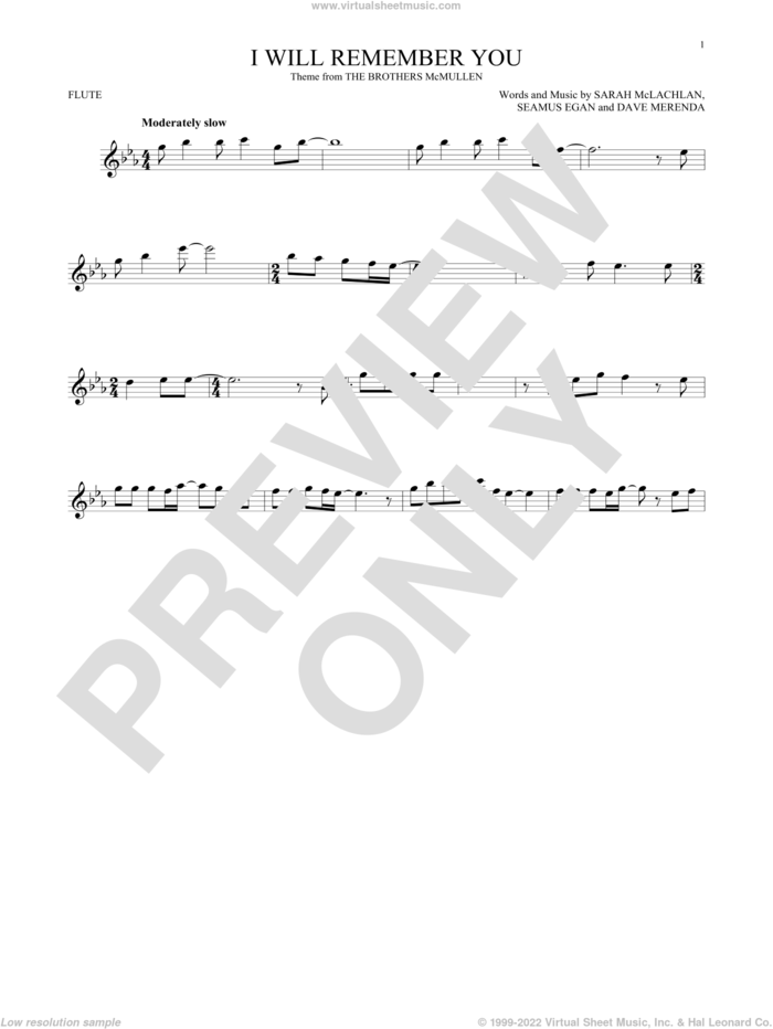 I Will Remember You sheet music for flute solo by Sarah McLachlan, Dave Merenda and Seamus Egan, intermediate skill level