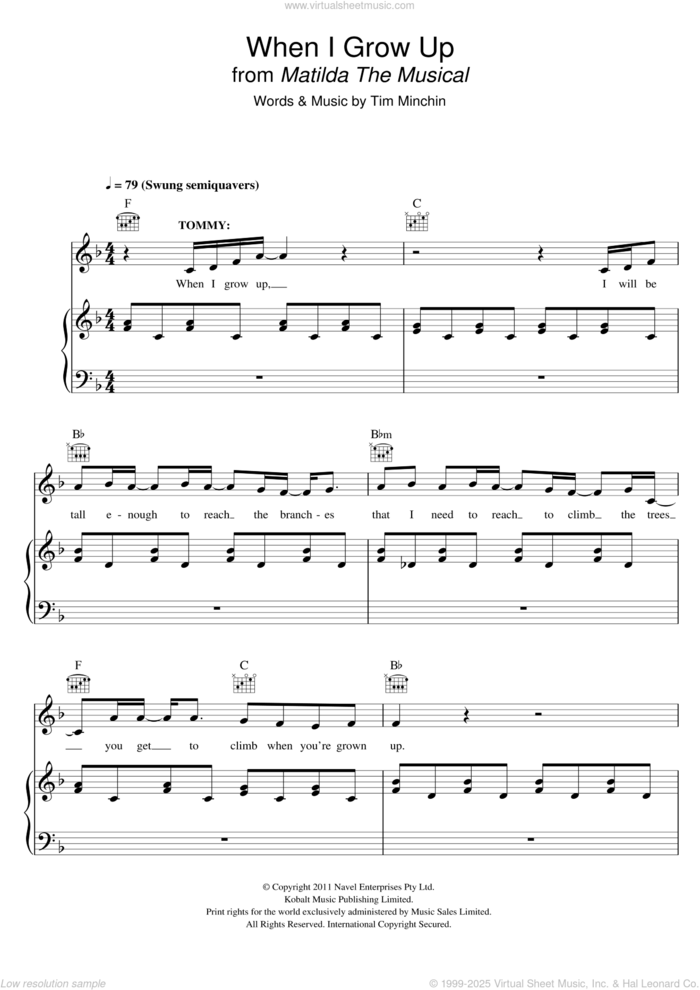 When I Grow Up (From 'Matilda The Musical') sheet music for voice, piano or guitar by Tim Minchin, intermediate skill level