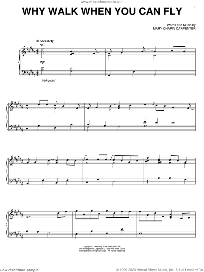 Why Walk When You Can Fly sheet music for voice, piano or guitar by Mary Chapin Carpenter, intermediate skill level
