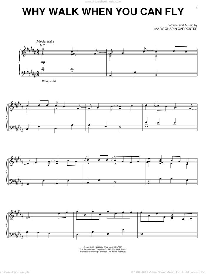 Why Walk When You Can Fly sheet music for voice, piano or guitar by Mary Chapin Carpenter, intermediate skill level