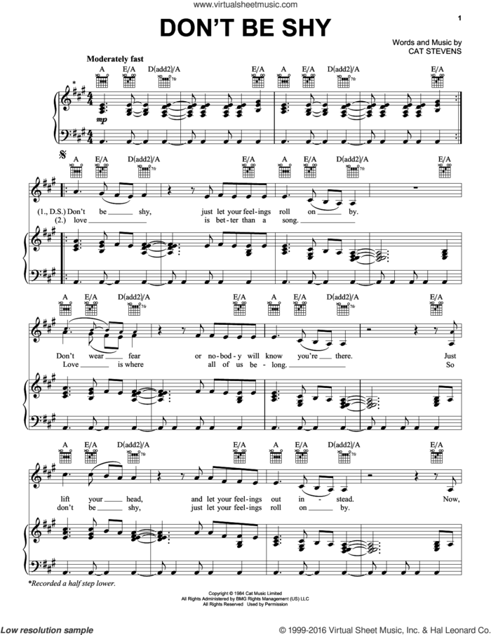 Don't Be Shy sheet music for voice, piano or guitar by Cat Stevens, intermediate skill level