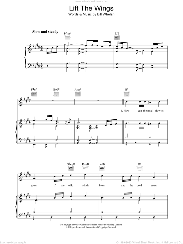 Lift The Wings sheet music for voice, piano or guitar by Bill Whelan, intermediate skill level