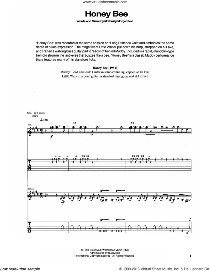 Honey Bee sheet music for guitar (tablature) by Muddy Waters, intermediate skill level