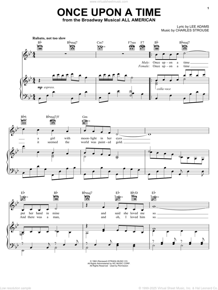 Once Upon A Time sheet music for voice, piano or guitar by Charles Strouse and Lee Adams, intermediate skill level