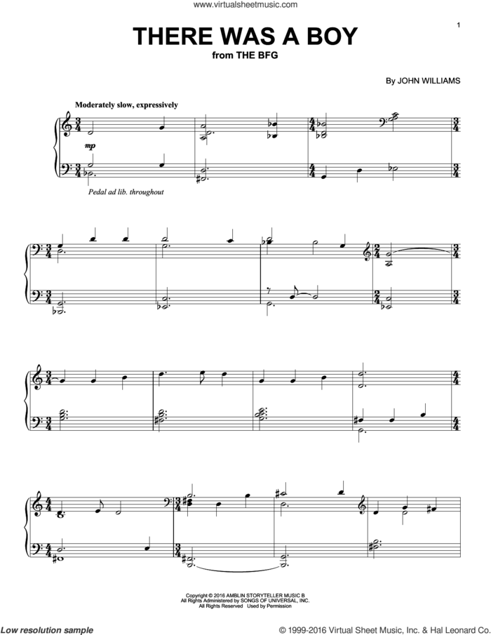 There Was A Boy sheet music for piano solo by John Williams, intermediate skill level