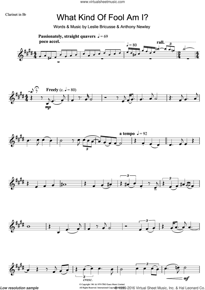 What Kind Of Fool Am I sheet music for clarinet solo by Frank Sinatra, Anthony Newley and Leslie Bricusse, intermediate skill level