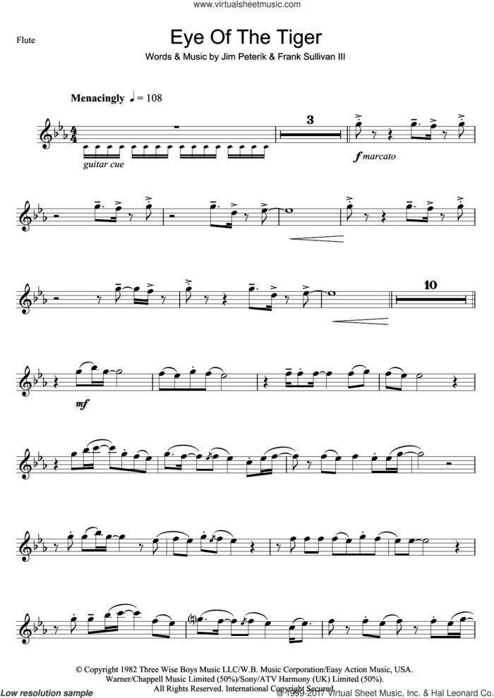 Eye Of The Tiger sheet music for flute solo by Survivor, Frank Sullivan and Jim Peterik, intermediate skill level