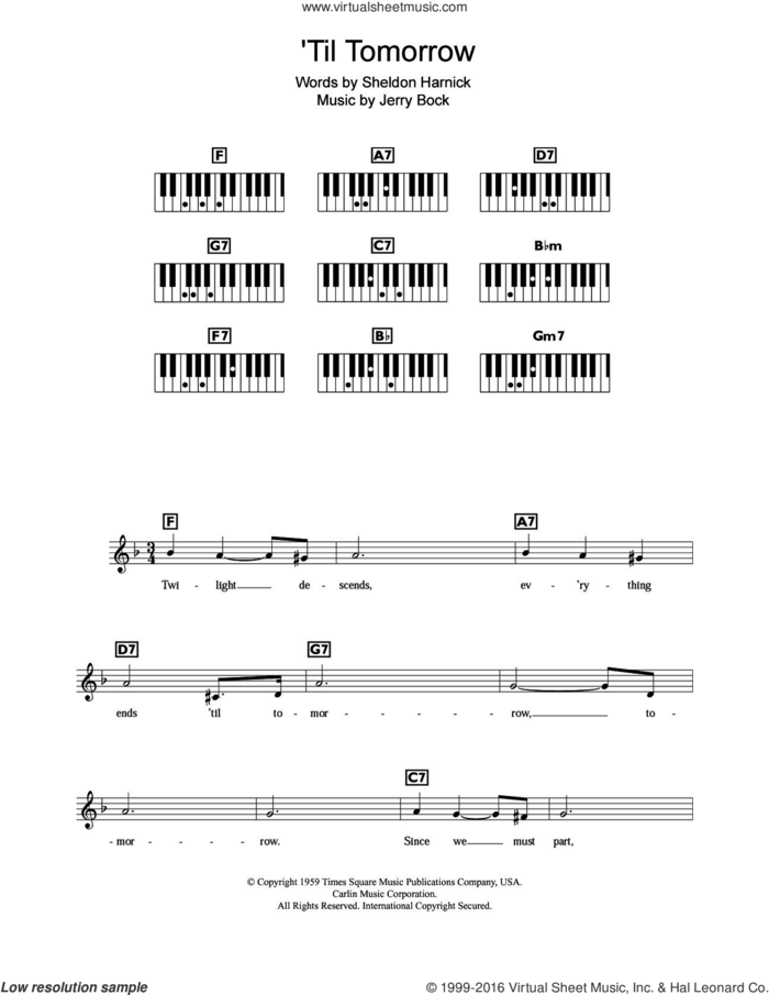 'Til Tomorrow (from Fiorello!) sheet music for piano solo (chords, lyrics, melody) by Jerry Bock and Sheldon Harnick, intermediate piano (chords, lyrics, melody)