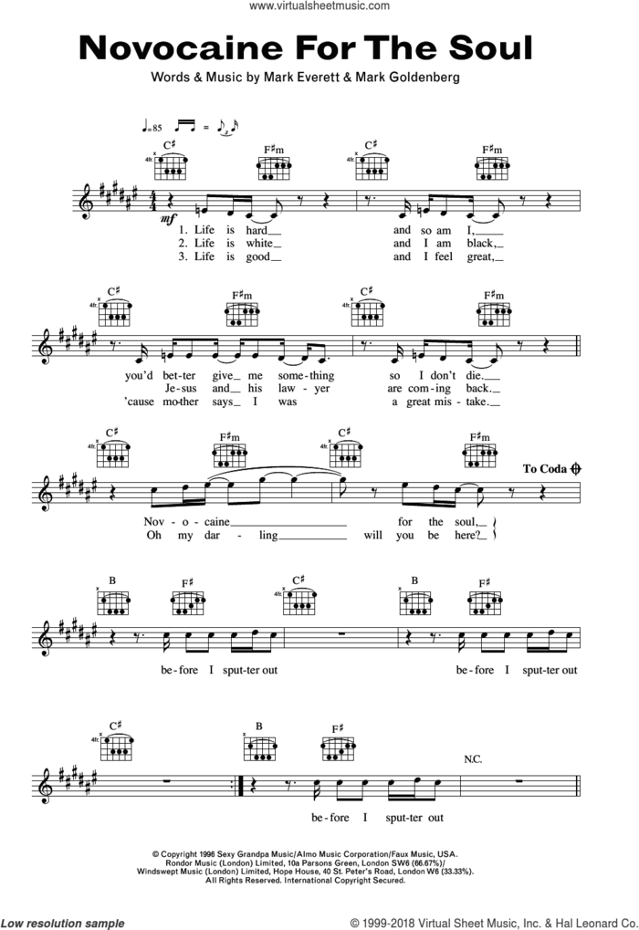 Novocaine For The Soul sheet music for voice and other instruments (fake book) by Eels and Mark Goldenberg, intermediate skill level