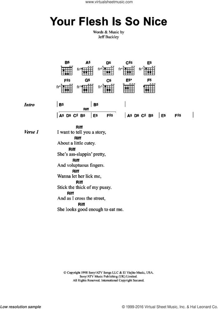 Your Flesh Is So Nice sheet music for guitar (chords) by Jeff Buckley, intermediate skill level