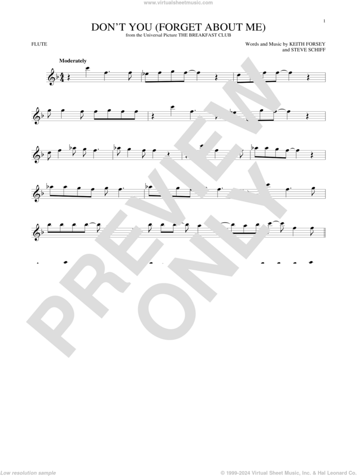 Don't You (Forget About Me) sheet music for flute solo by Simple Minds, Hawk Nelson, Keith Forsey and Steve Schiff, intermediate skill level