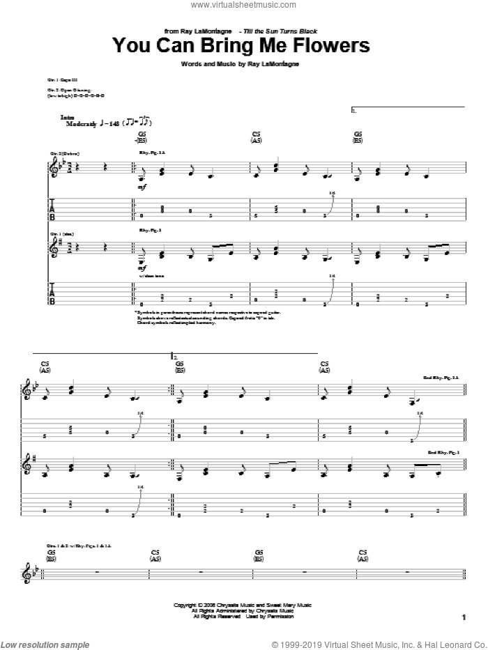 You Can Bring Me Flowers sheet music for guitar (tablature) by Ray LaMontagne, intermediate skill level