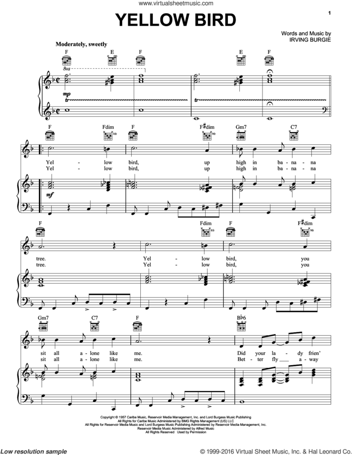 Yellow Bird sheet music for voice, piano or guitar by Irving Burgie, intermediate skill level